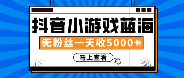 赚钱计划：抖音小游戏蓝海项目，无粉丝一天收入5000+-润泽资源库