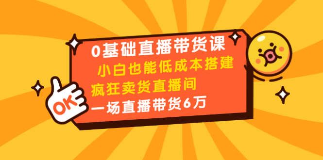 0基础直播带货课：小白也能低成本搭建疯狂卖货直播间：1场直播带货6万-润泽资源库