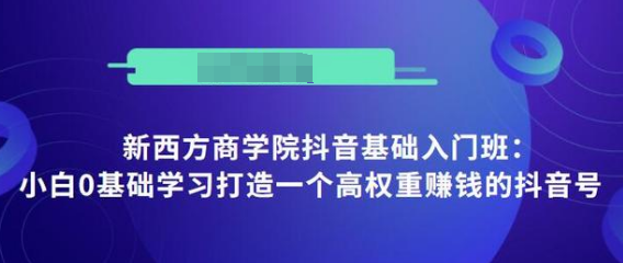 抖音基础入门班：小白0基础学习打造一个高权重赚钱的抖音号-润泽资源库
