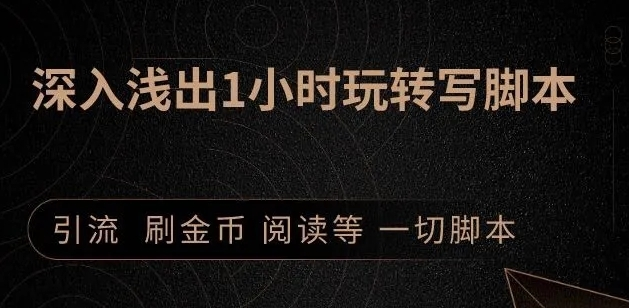引流脚本实战课：1小时深入浅出视频实操讲解，教你0基础学会写引流脚本-润泽资源库