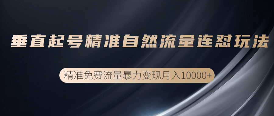 垂直起号精准自然流量连爆玩法，精准引流暴力变现月入10000+-润泽资源库