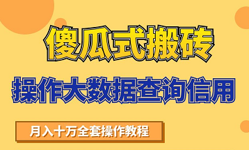 搬砖操作大数据查询信用项目赚钱教程，祝你快速月入6万-润泽资源库