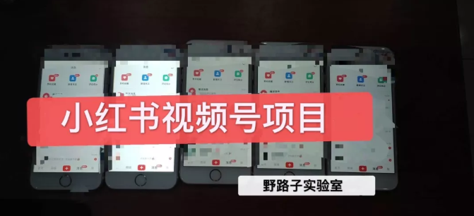 野路子小红书视频号1.0项目，直接上手操作就能赚钱的视频号项目-润泽资源库