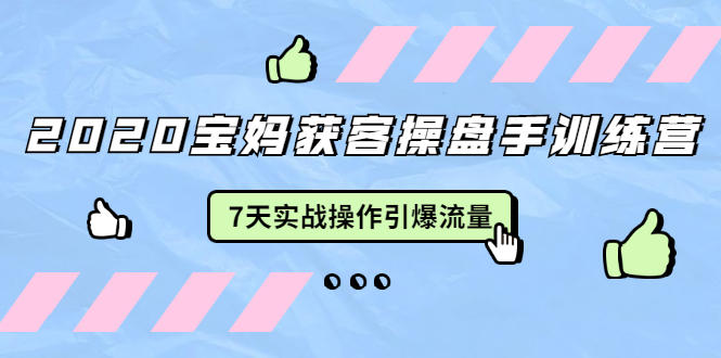 2020宝妈获客操盘手训练营：7天实战操作引爆 母婴、都市、购物宝妈流量-润泽资源库