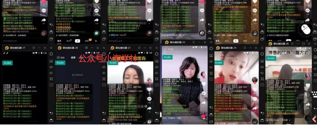 抖音挂机点赞自动赚钱项目深度评测-润泽资源库