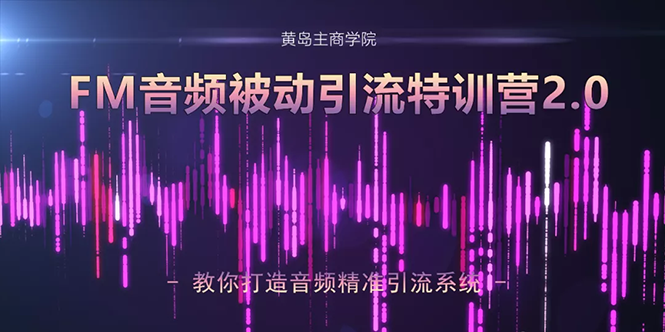 黄岛主·FM音频引流特训营2.0：独家引流模式，单账号50W+播放量，轻松变现-润泽资源库
