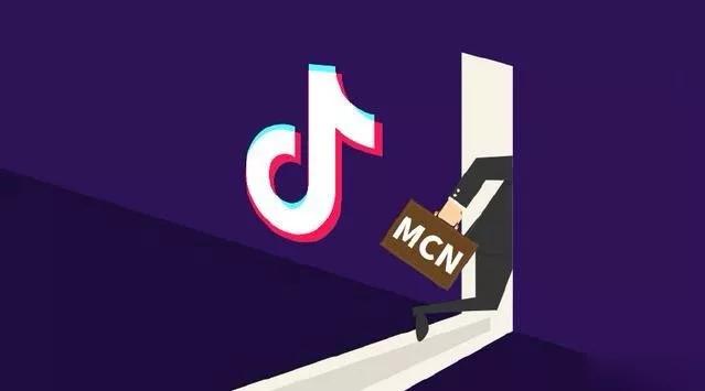 抖音MCN孵化课程，帮助商家拓客，帮助达人更好变现的课程，从0基础到超级IP-润泽资源库