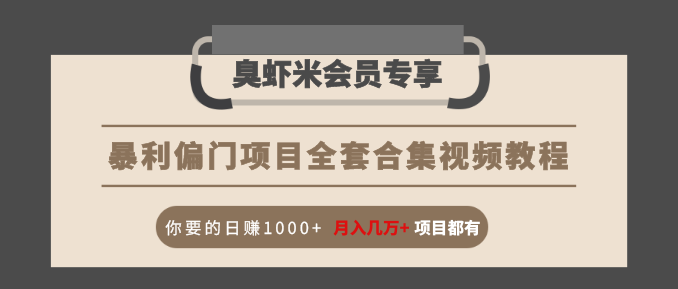 暴利偏门项目全套合集视频教程：你要的日赚1000+月入几万+项目都有-润泽资源库