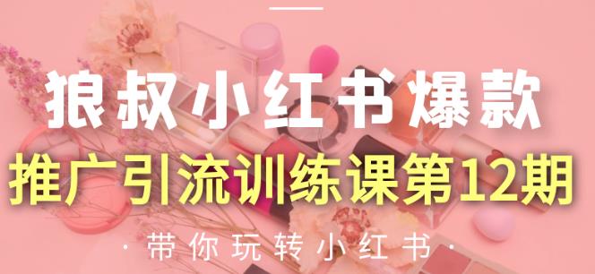 狼叔小红书爆款推广引流训练课第12期，手把手带你玩转小红书-润泽资源库