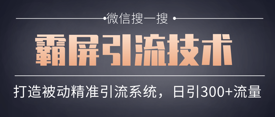 微信搜一搜霸屏引流技术，打造被动精准引流系统，轻松日引300+流量-润泽资源库