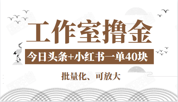 工作室撸金二件套：撸今日头条原创收益+小红书一单利润40块项目-润泽资源库