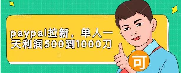 Paypal拉新赚美刀项目，单人一天利润500-1000刀【视频课程】-润泽资源库