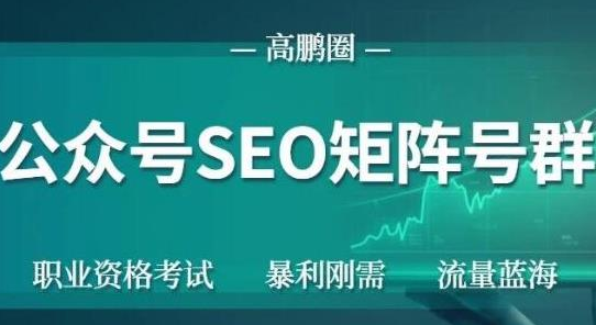 高鹏圈公众号SEO矩阵号群，实操20天纯收益25000+，普通人都能做-润泽资源库