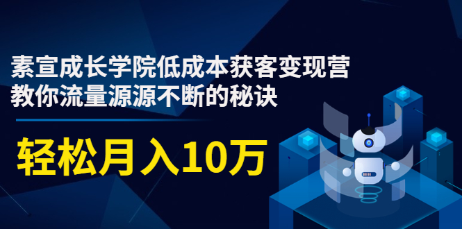 素宣成长学院低成本获客变现营，教你流量源源不断的秘诀，轻松月入10万-润泽资源库