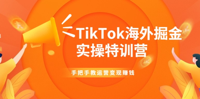 TikTok海外掘金实操特训营：手把手教运营变现赚钱-润泽资源库