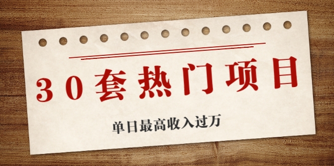 30套热门项目：单日最高收入过万 (网赚项目、朋友圈、涨粉套路、抖音、快手)等-润泽资源库