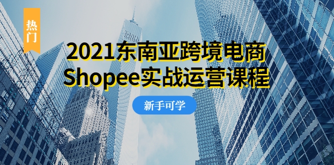 2021东南亚跨境电商Shopee实战运营课程，0基础、0经验、0投资的副业项目-润泽资源库