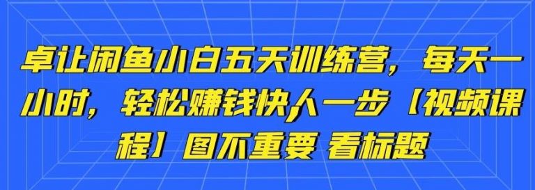 卓让闲鱼小白五天训练营，每天一小时，轻松赚钱快人一步-润泽资源库