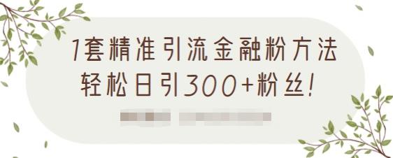 1套精准引流金融粉方法，轻松日引300+粉丝-润泽资源库