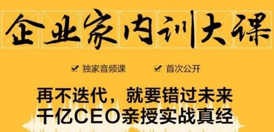 企业家内训大课，未来企业必学经验，价值1299元-润泽资源库