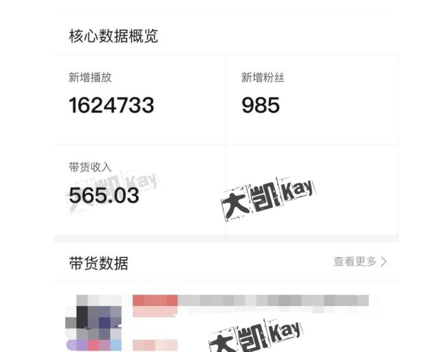 大凯进阶圈新玩法之拼多多视频玩法，利润大概一个号一天能有500~1500的左右!-润泽资源库