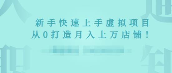 2022年虚拟项目实战指南，新手从0打造月入上万店铺-润泽资源库