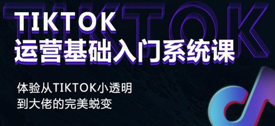 Tiktok实操进阶课程，体验从tiktok小透明到大佬的完美蜕变-润泽资源库