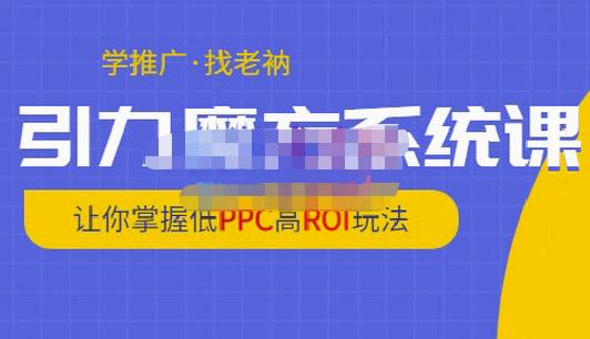 老衲·引力魔方系统课，让你掌握低PPC高ROI玩法，价值299元-润泽资源库