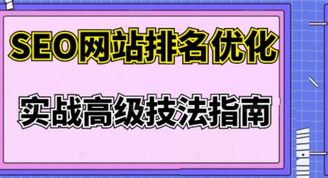 樊天华·SEO网站排名优化实战高级技法指南，让客户找到你-润泽资源库