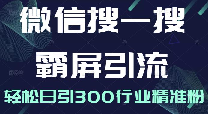 微信搜一搜霸屏引流课，打造被动精准引流系统，轻松日引300行业精准粉-润泽资源库