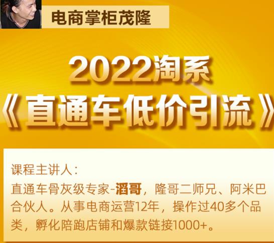 茂隆2022直通车低价引流玩法,教大家如何低投入高回报的直通车玩法-润泽资源库