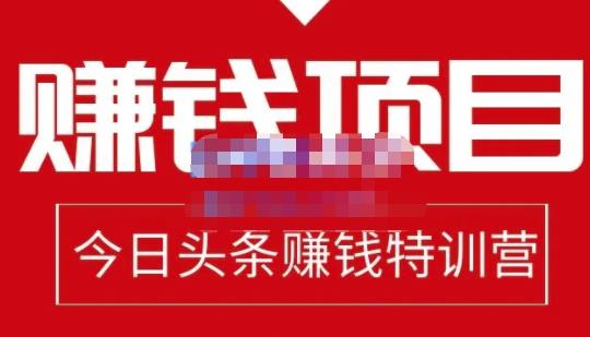 懒人领域·今日头条项目玩法，头条中视频项目，单号收益在50—500可批量-润泽资源库