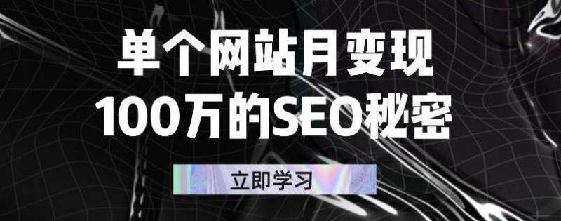 单个网站月变现100万的SEO秘密，百分百做出赚钱站点-润泽资源库