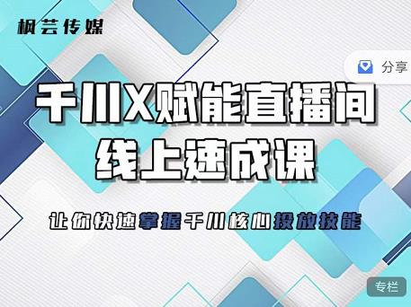 枫芸传媒-线上千川提升课，提升千川认知，提升千川投放效果-润泽资源库