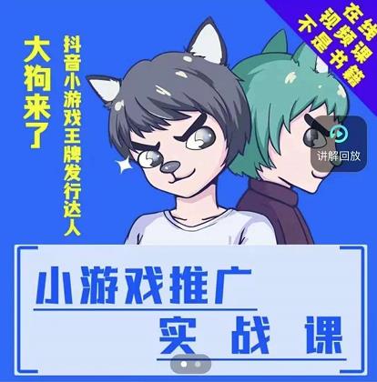 大狗来了：小游戏推广实战课，带你搭建一个游戏推广变现账号-润泽资源库