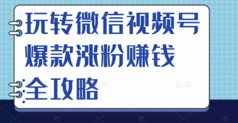 玩转微信视频号爆款涨粉赚钱全攻略，让你快速抓住流量风口，收获红利财富-润泽资源库