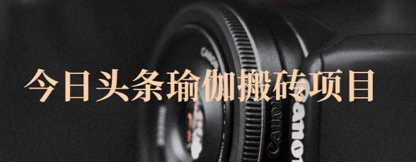 猎人社区·今日头条瑜伽搬砖项目，单号一天几十收入，可以批量操作！-润泽资源库
