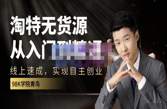 98k学院的淘特无货源线上速成课，从入门到精通，让你最小投入，最高回报-润泽资源库