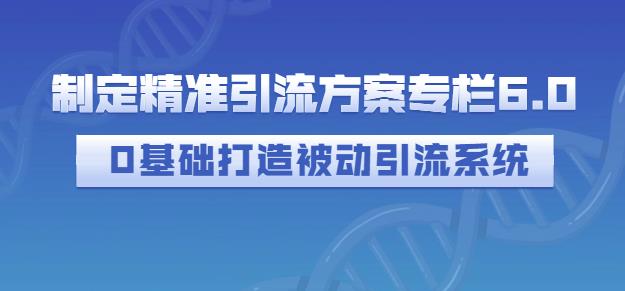 制定精准引流方案专栏6.0，0基础打造被动引流系统-润泽资源库
