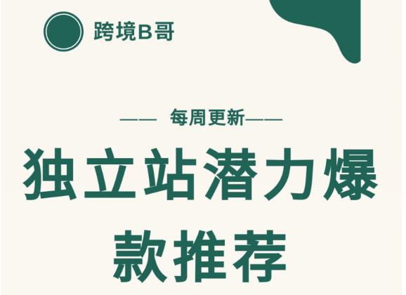 【跨境B哥】独立站潜力爆款选品推荐，测款出单率高达百分之80-润泽资源库