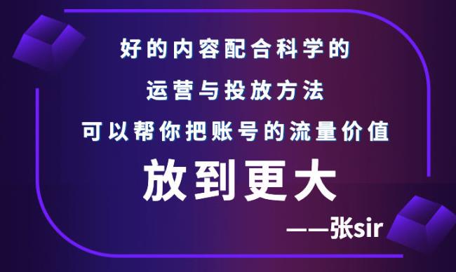 张sir账号流量增长课，告别海王流量，让你的流量更精准-润泽资源库
