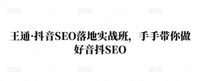 王通·抖音SEO落地实战班，手‬手带你做好音抖‬‬SEO-润泽资源库