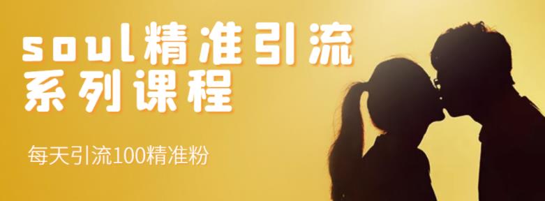 soul精准引流系列课程，每天引流100精准粉-润泽资源库