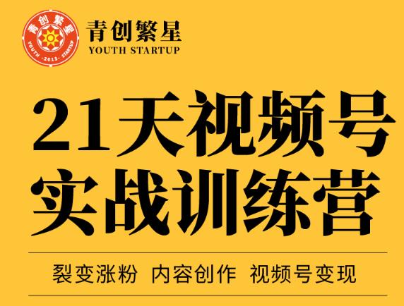 张萌21天视频号实战训练营，裂变涨粉、内容创作、视频号变现 价值298元-润泽资源库