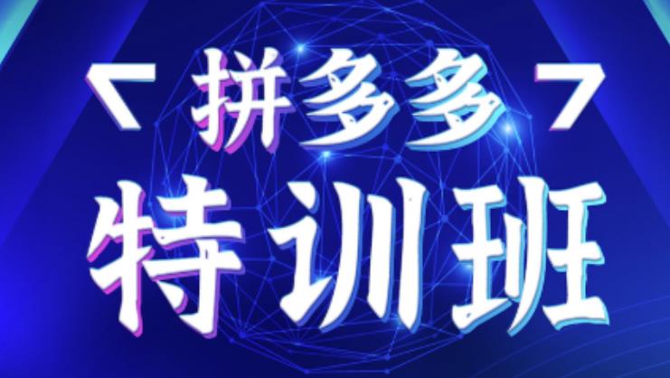 星雪教育·拼多多基础班+进阶班+突破班，用系统的学习模式快速改变现状价值3580元-润泽资源库