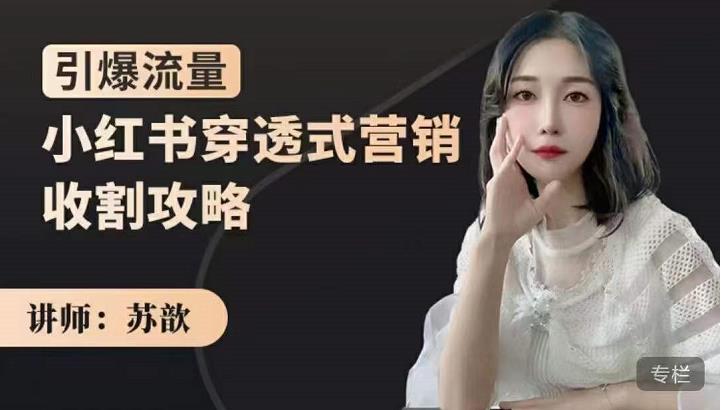 苏歆：小红书穿透式营销收割攻略，引爆流量，助你玩转小红书-润泽资源库