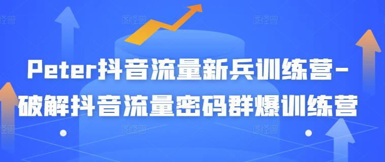 Peter抖音流量新兵训练营-破解抖音流量密码群爆训练营（新兵）-润泽资源库