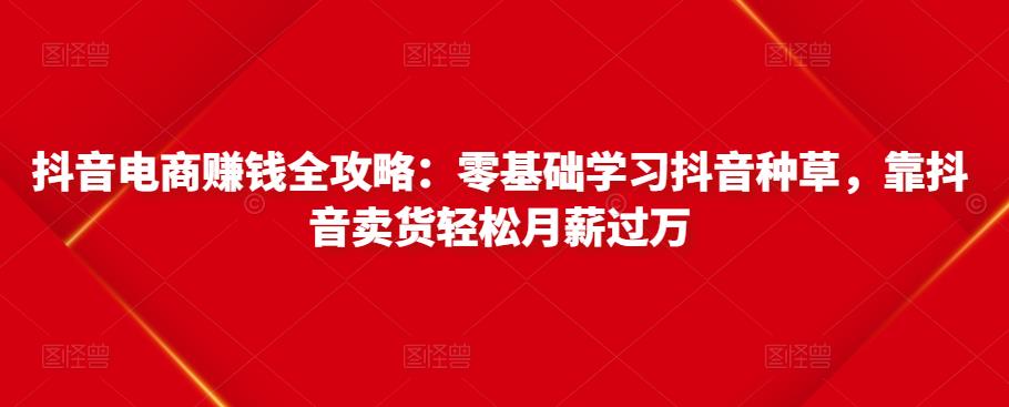 抖音电商赚钱全攻略：零基础学习抖音种草，靠抖音卖货轻松月薪过万-润泽资源库
