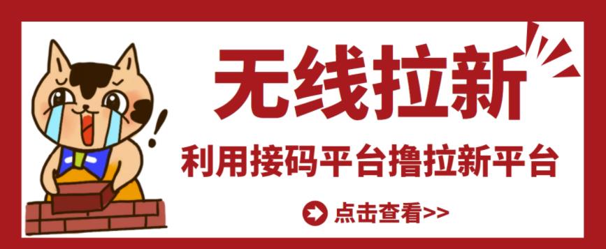 最新接码无限拉新项目，利用接码平台赚拉新平台差价，轻松日赚500+-润泽资源库