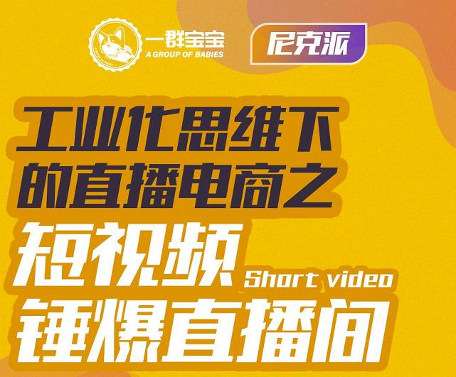 尼克派·工业化思维下的直播电商之短视频锤爆直播间，听话照做执行爆单-润泽资源库